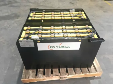 Ắc quy GS Yuasa 48V-290AH
